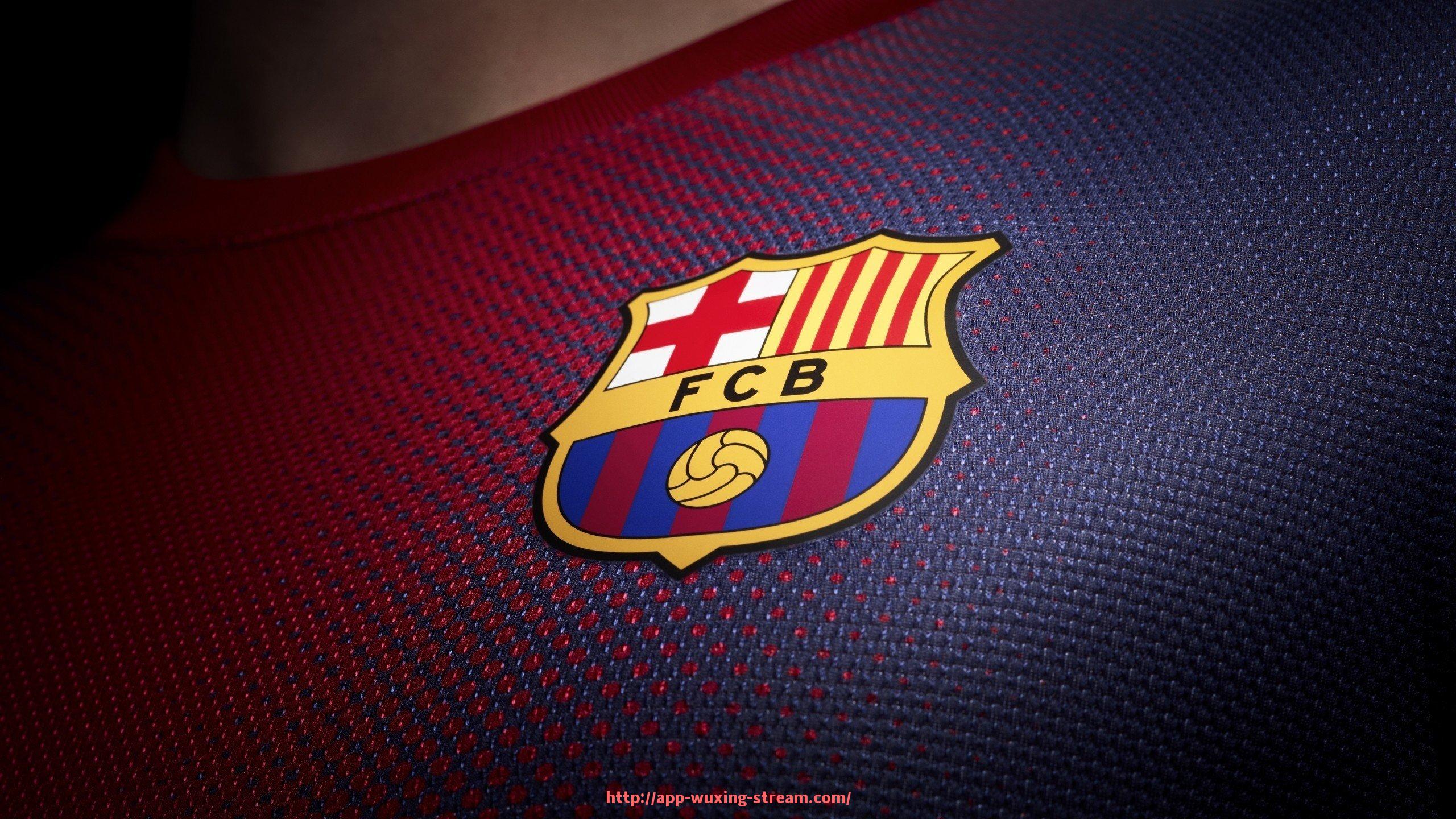 五星体育直播-德甲球队大巴车的设计和使用有什么特别之处(球员大巴车 内部)