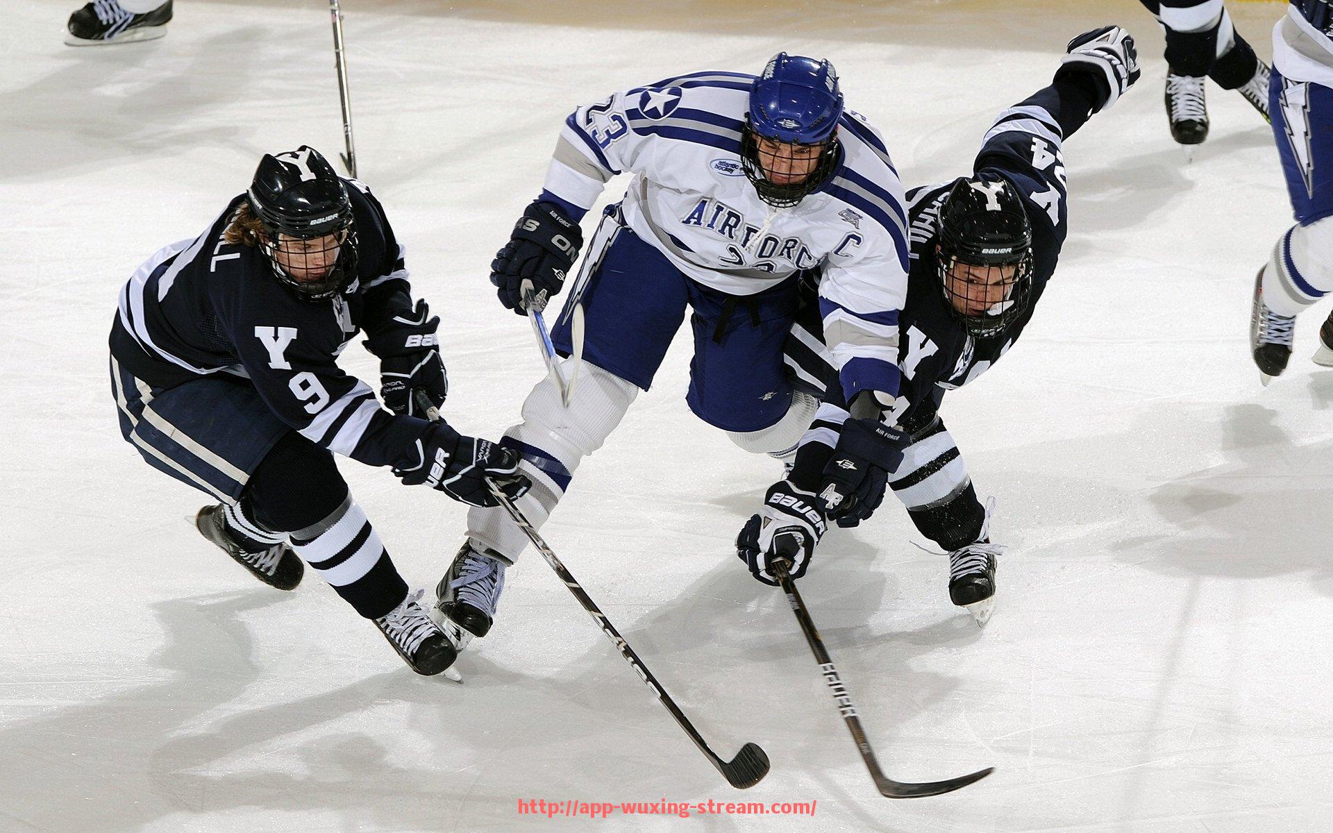 五星体育直播-世俱杯球鞋舒适性评分细则整理及用户评价汇总