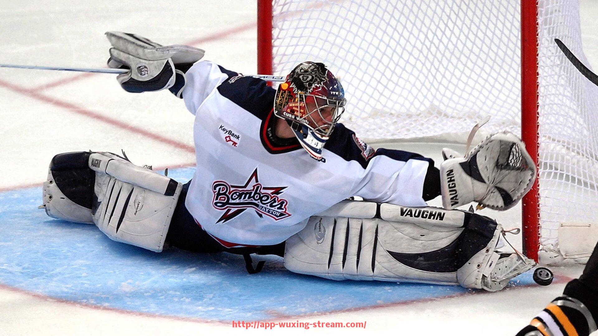 五星体育直播-德甲各球队中最具代表性的特殊球员分析